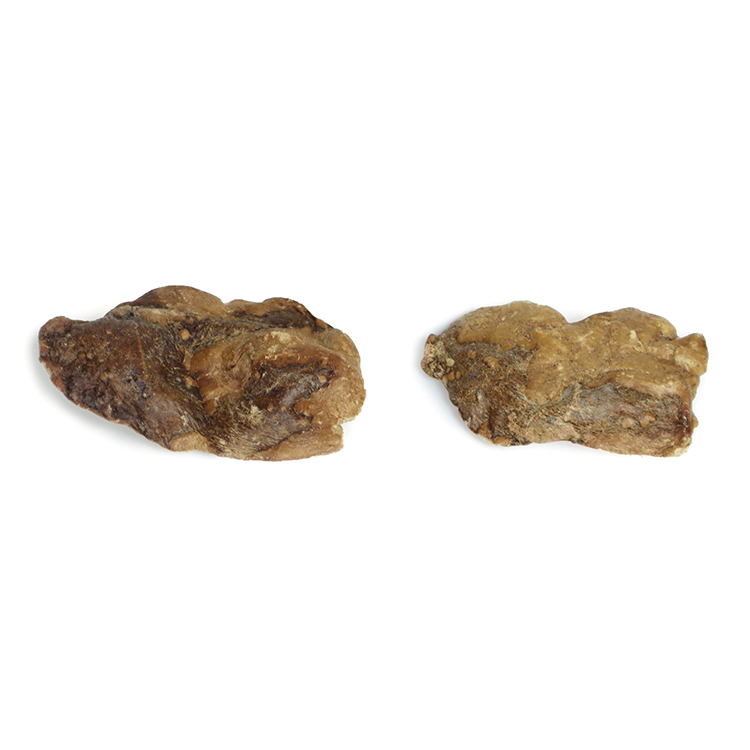 Freeze-dried chunks of chicken liver
